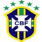 Camiseta Brasil 2024 2025